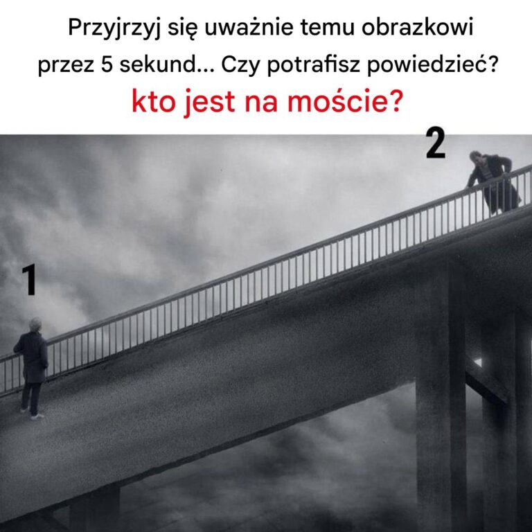 Przyjrzyj_si__temu_obrazkowi_przez_kilka_sekund