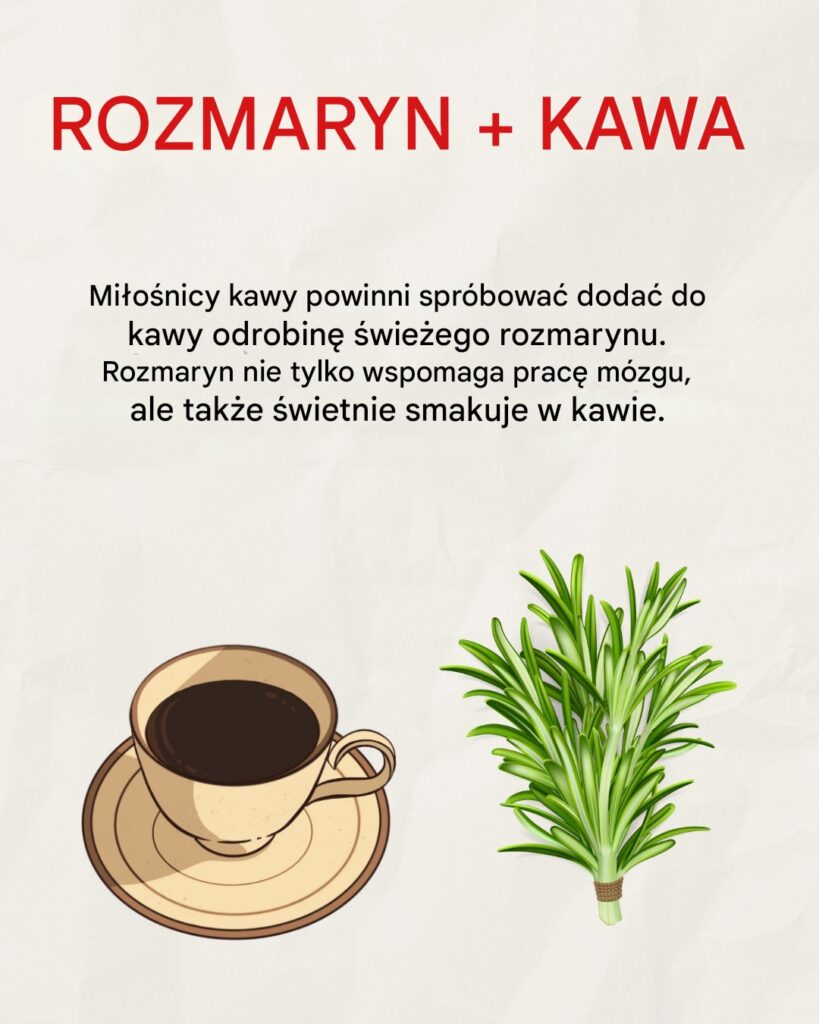 Rozmaryn_z_kaw___pobudzaj_ce_po__czenie_dla_cia_a_i_umys_u Rozmaryn_z_kaw___pobudzaj_ce_po__czenie_dla_cia_a_i_umys_u