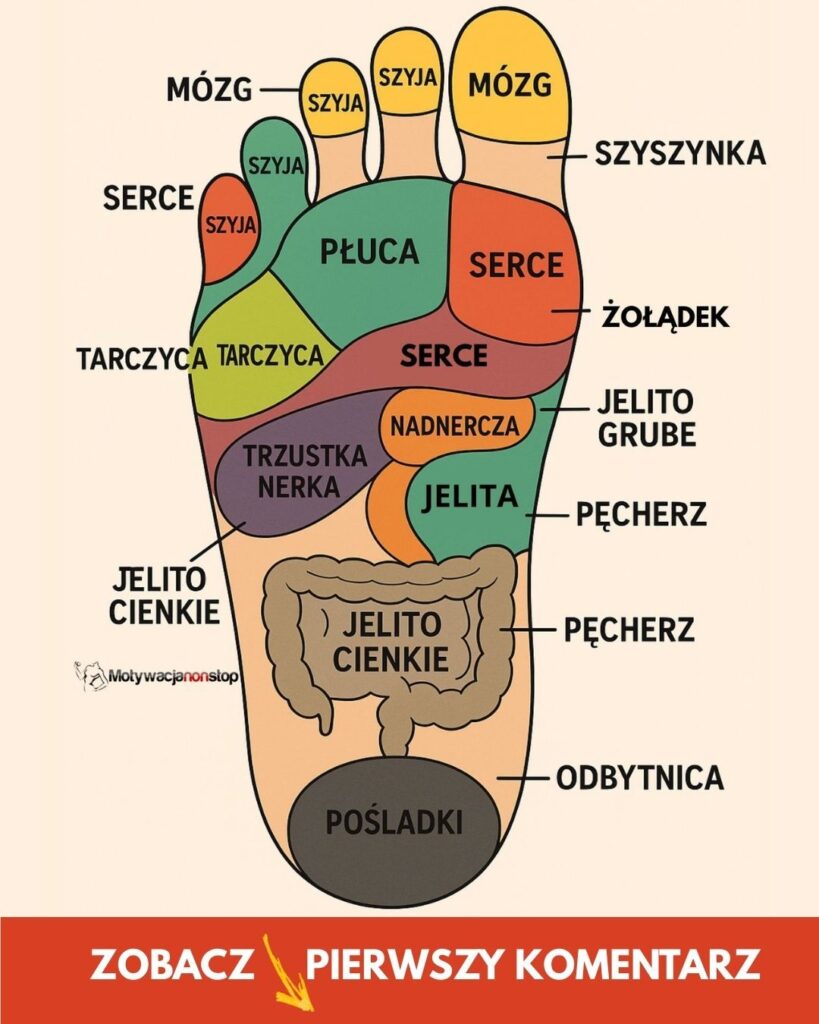 Stopy_nosz__nas_przez_ca_e__ycie__cho__cz_sto_zapominamy__jak_wa_n__rol__odgrywaj__nie_tylko_w_chodzeniu__ale_tak_e_dla_naszego_zdrowia_ Stopy_nosz__nas_przez_ca_e__ycie__cho__cz_sto_zapominamy__jak_wa_n__rol__odgrywaj__nie_tylko_w_chodzeniu__ale_tak_e_dla_naszego_zdrowia_