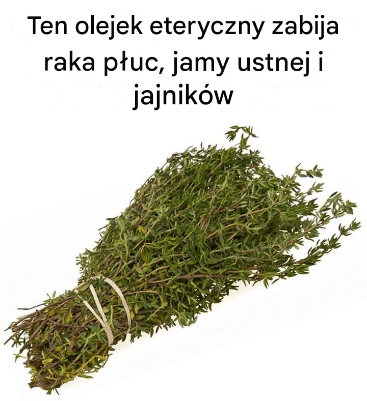Ten_olejek_eteryczny_zabija_raka_p_uc__jamy_ustnej_i_jajnik_w Ten_olejek_eteryczny_zabija_raka_p_uc__jamy_ustnej_i_jajnik_w