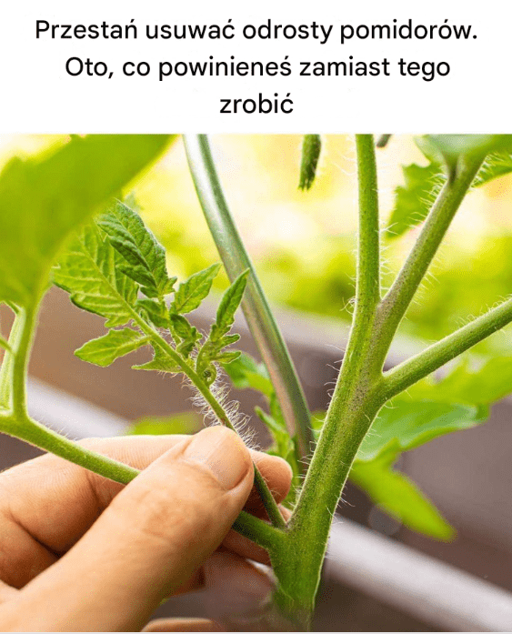 To_dla_mnie_nowo___ To_dla_mnie_nowo___