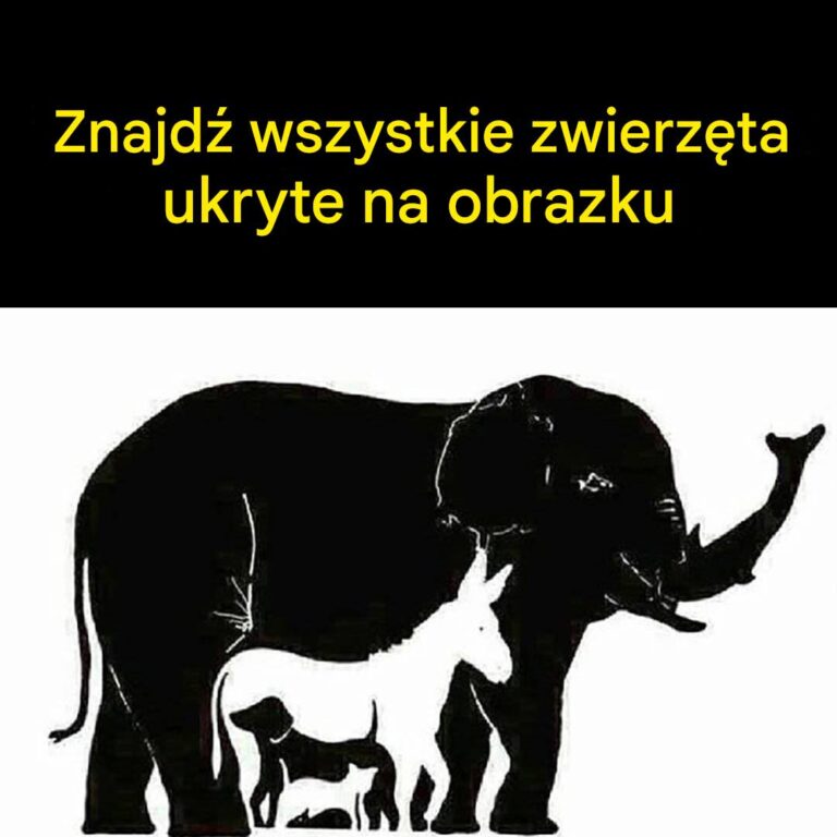 Tylko_osoby_z_IQ_powy_ej_120_widz__wi_cej_ni__6_zwierz_t__Ile_widzisz_ty_