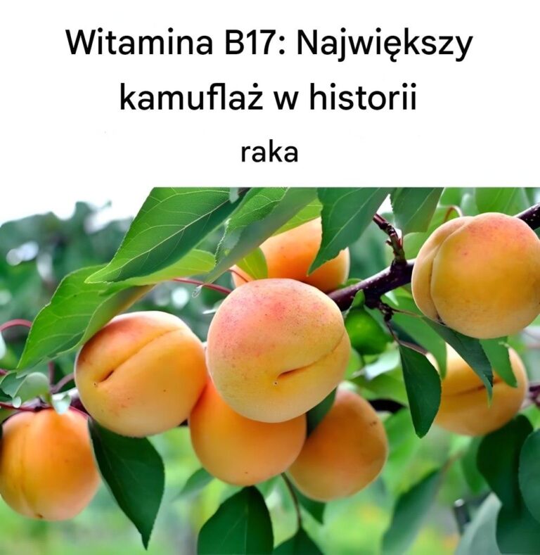 Witamina_B17__Najwi_kszy_kamufla__w_historii_raka