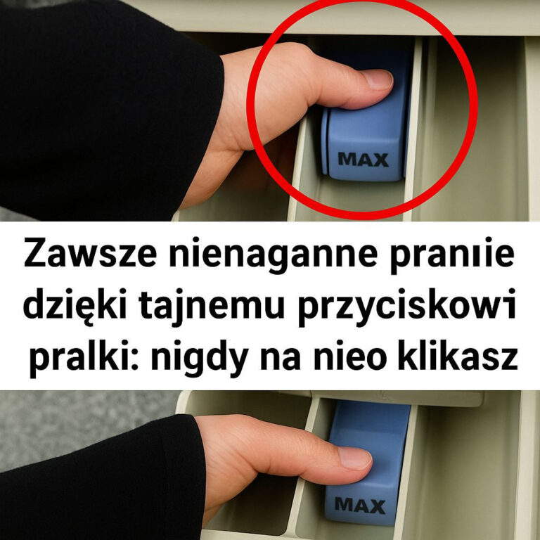 Zawsze_nieskazitelne_pranie_dzi_ki_sekretnemu_przyciskowi_pralki__nigdy_go_nie_klikniesz