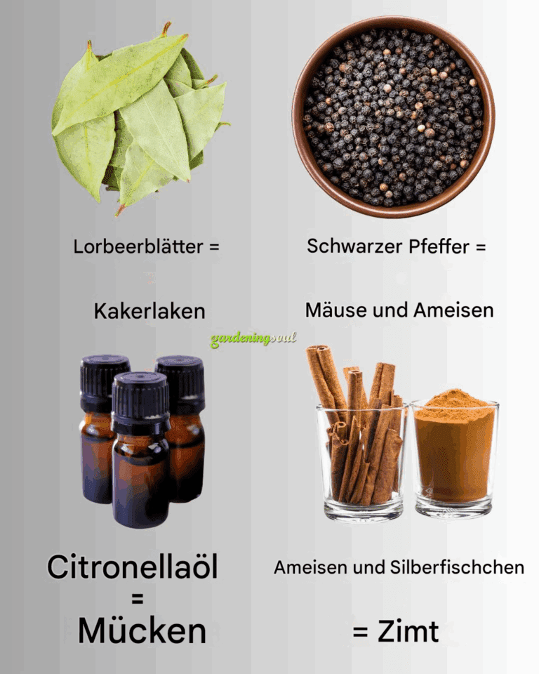 10_nat_rliche_Sch_dlingsbek_mpfungsmittel__die_Sie_wahrscheinlich_bereits_zu_Hause_haben