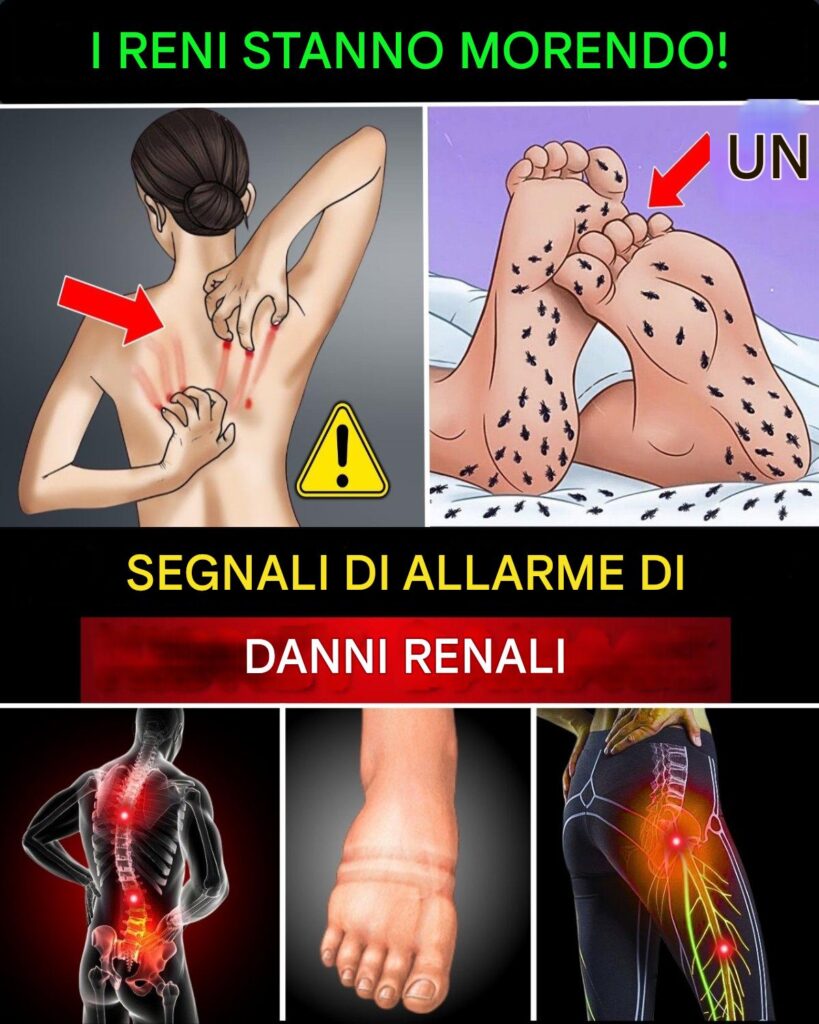 15_segnali_letali_di_problemi_renali_che_devi_individuare_in_tempo 15_segnali_letali_di_problemi_renali_che_devi_individuare_in_tempo