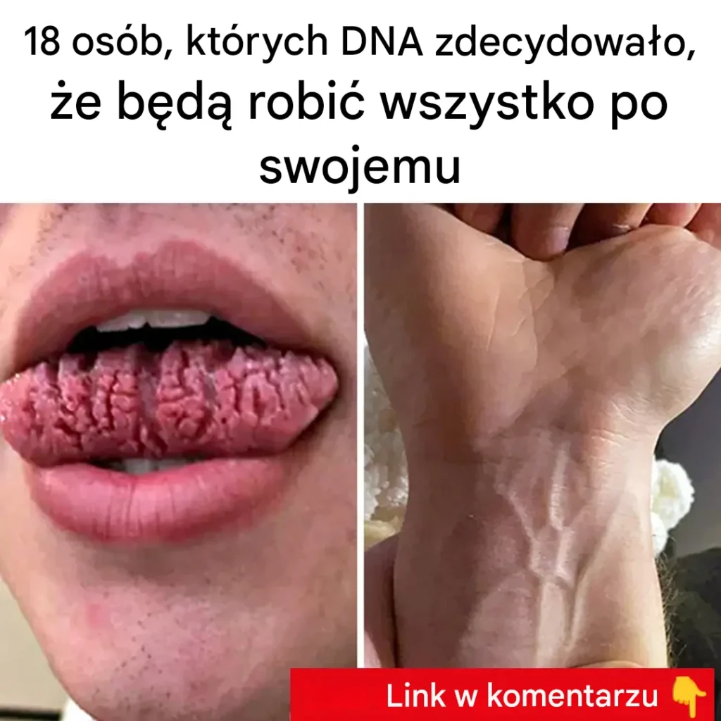 18_os_b__kt_rych_genetyka_obra_a_inn___cie_k_ 18_os_b__kt_rych_genetyka_obra_a_inn___cie_k_