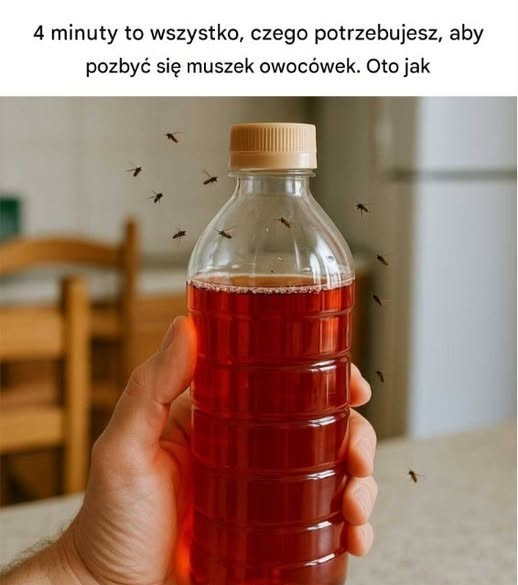 4_minuty_to_wszystko__czego_potrzebujesz__aby_pozby__si__muszek_owoc_wek__Oto_jak_