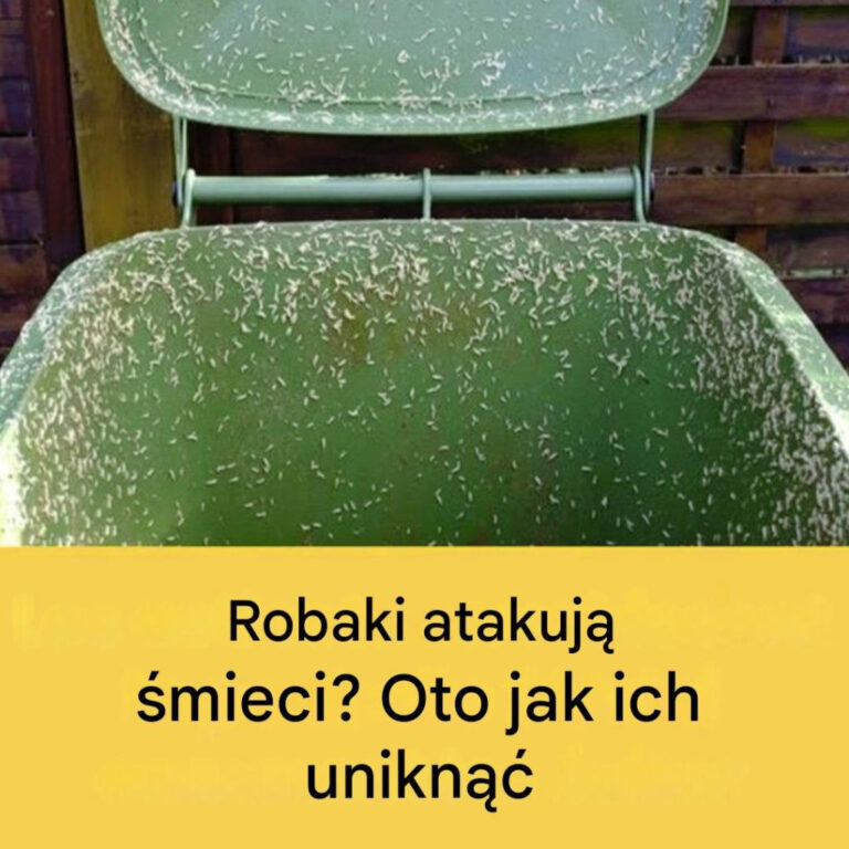 4_skuteczne_wskaz_wki__jak_pozby__si__robak_w_z_zewn_trznego_kosza_na__mieci