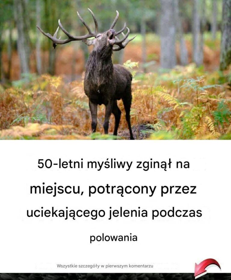 50_letni_my_liwy_zgin___na_miejscu__potr_cony_przez_uciekaj_cego_jelenia_podczas_polowania-2