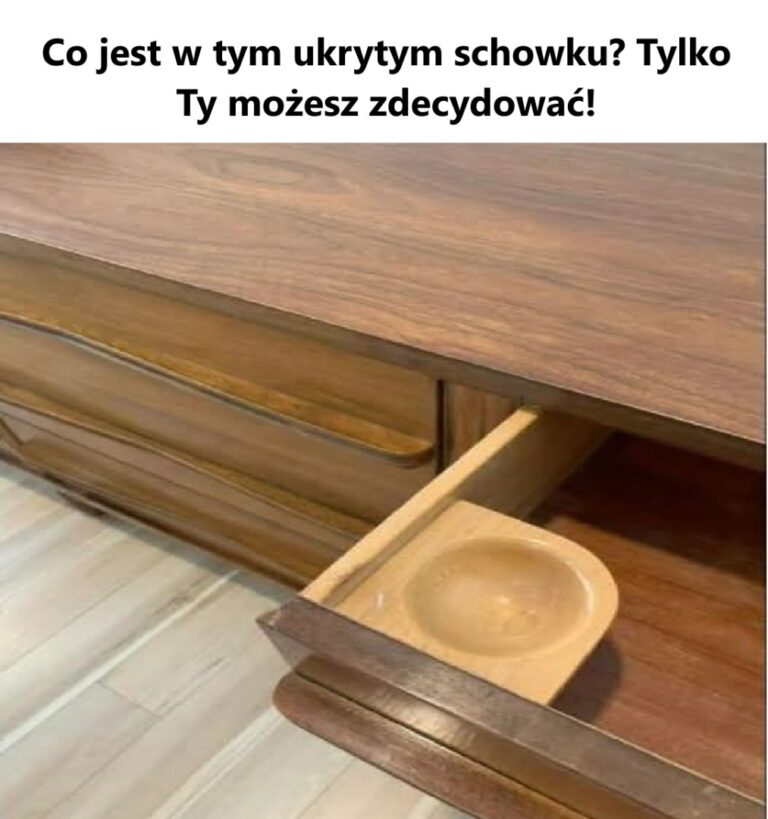 Co_jest_w_tym_ukrytym_schowku__Tylko_Ty_mo_esz_zdecydowa__