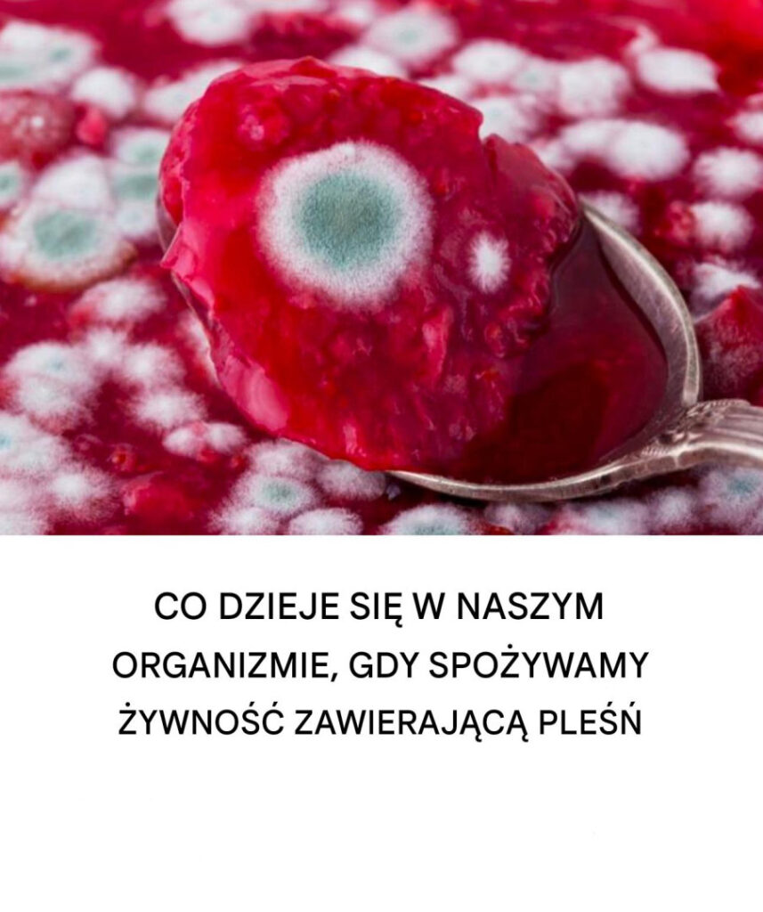Co_si__stanie__je_li_zjesz_sple_nia_e_jedzenie__Zagro_enia_dla_zdrowia_i_dzia_ania__kt_re_nale_y_podj__ Co_si__stanie__je_li_zjesz_sple_nia_e_jedzenie__Zagro_enia_dla_zdrowia_i_dzia_ania__kt_re_nale_y_podj__