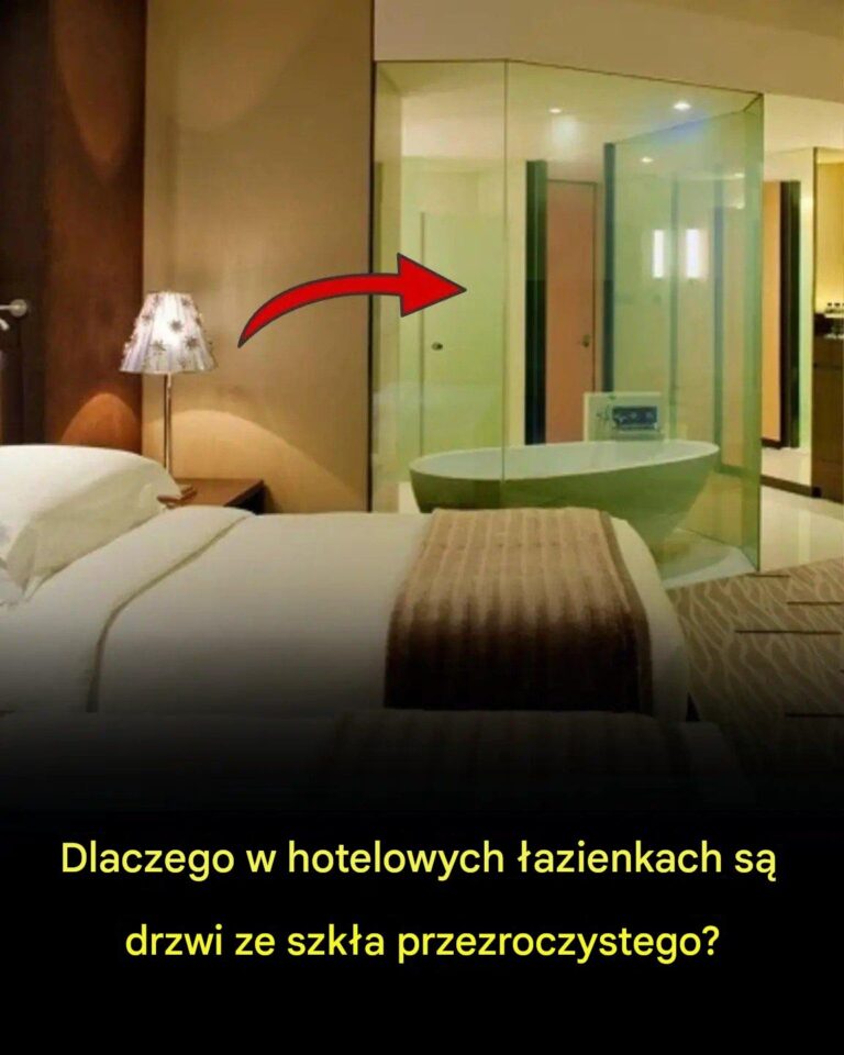 Dlaczego_w_hotelowych__azienkach_stosuje_si__przezroczyste_drzwi_szklane_