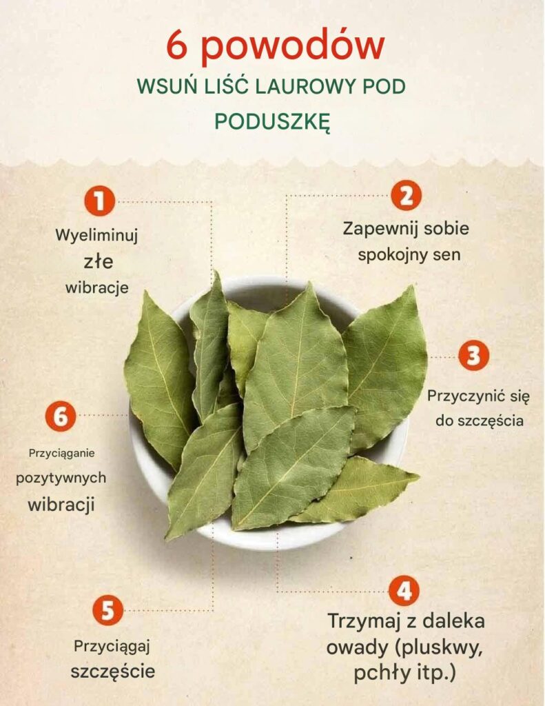 Dlaczego_warto_umie_ci__li___laurowy_pod_poduszk__ Dlaczego_warto_umie_ci__li___laurowy_pod_poduszk__
