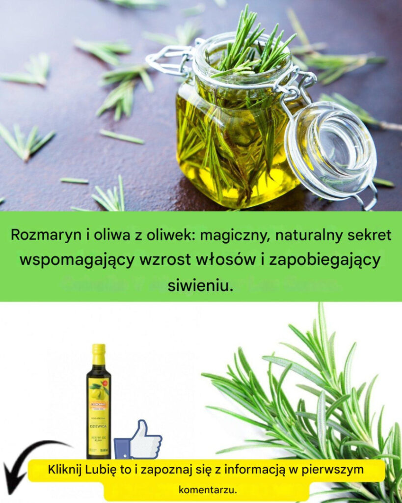 Dwa_sk_adniki__cuda_dla_w_os_w__siwe_w_osy_i__ysienie_pod_kontrol_ Dwa_sk_adniki__cuda_dla_w_os_w__siwe_w_osy_i__ysienie_pod_kontrol_