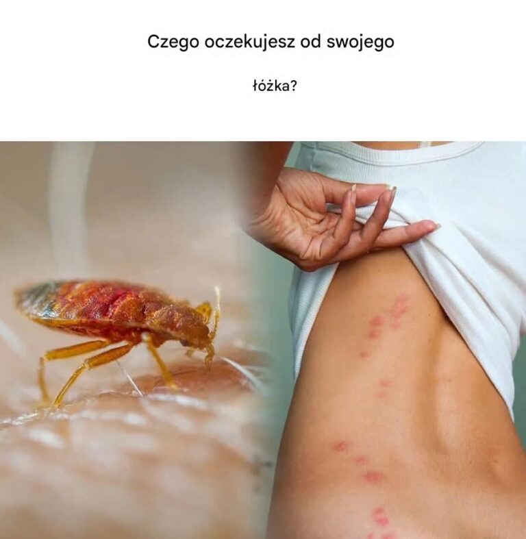 Jak_pozby__si__pluskiew_z_domu_