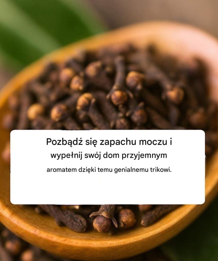 Jak_pozby__si__zapachu_moczu__sekret_go_dzik_w_ Jak_pozby__si__zapachu_moczu__sekret_go_dzik_w_