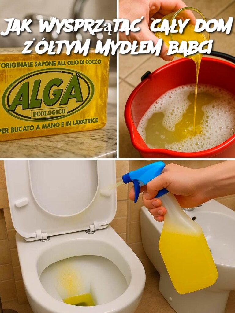 Jak_wysprz_ta__ca_y_dom____tym_myd_em_babci Jak_wysprz_ta__ca_y_dom____tym_myd_em_babci