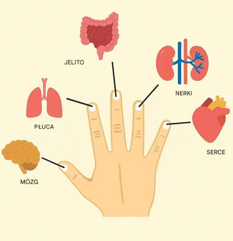 Ka_dy_palec_jest_po__czony_z_dwoma_organami__niesamowita_japo_ska_metoda_terapeutyczna-2 Ka_dy_palec_jest_po__czony_z_dwoma_organami__niesamowita_japo_ska_metoda_terapeutyczna-2