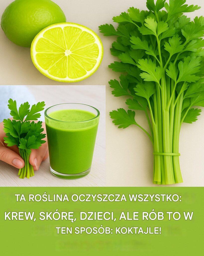 Koktajl_z_pietruszki__limonki_i_jarmu_u__60_sekundowy_zielony_eliksir__kt_ry_mo_e_wyp_uka__toksyny__oczy_ci__sk_r__i_obudzi__zm_czone_nerki