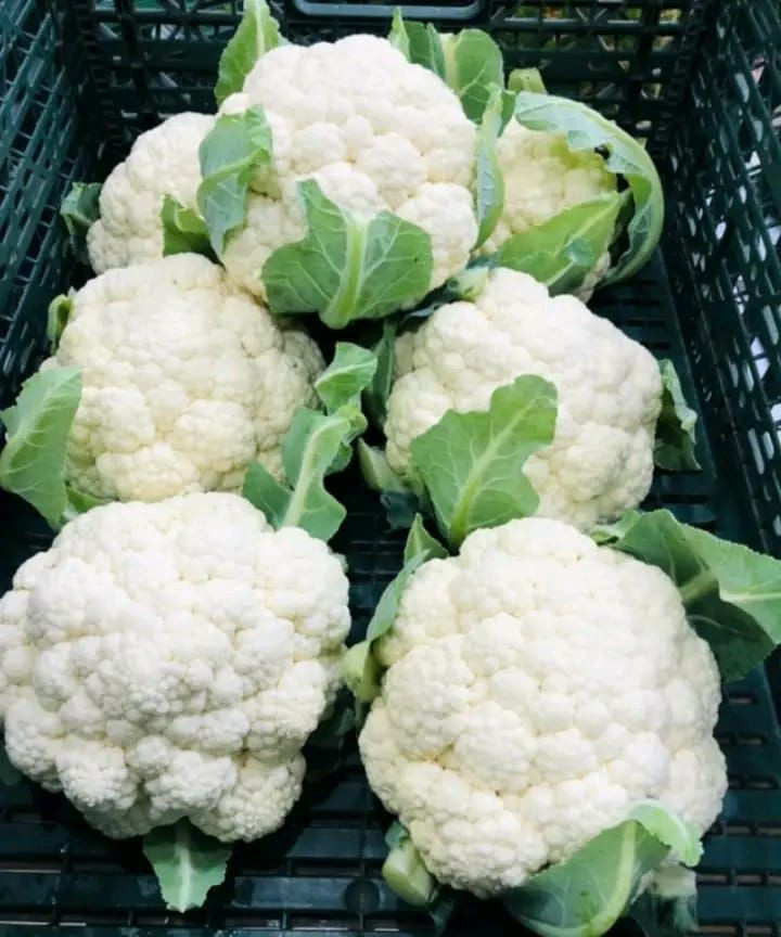 Lekarze_ujawniali___e_zielony_kalafior_powoduje-1 Lekarze_ujawniali___e_zielony_kalafior_powoduje-1