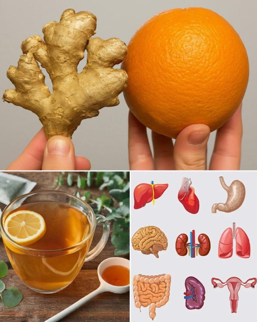 Nap_j_detoksykacyjny_z_imbirem_i_pomara_cz____naturalnie_oczyszcza_nerki__w_trob__i_p_uca Nap_j_detoksykacyjny_z_imbirem_i_pomara_cz____naturalnie_oczyszcza_nerki__w_trob__i_p_uca