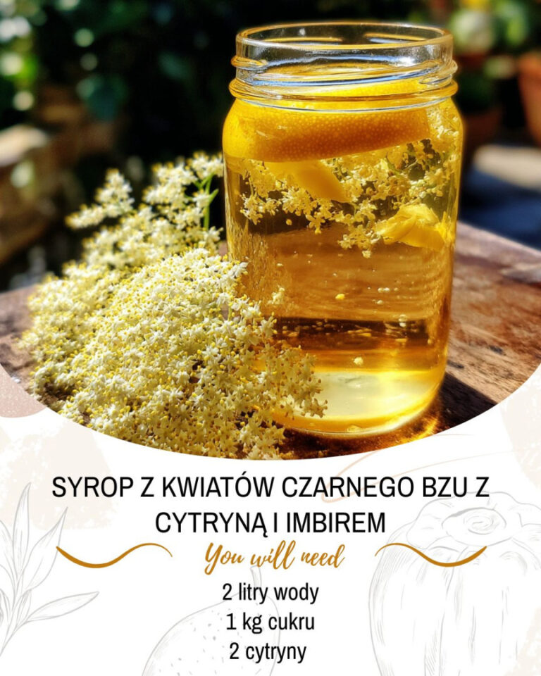 Naturalna_moc_natury__Syrop_z_kwiat_w_czarnego_bzu_z_cytryn__i_imbirem