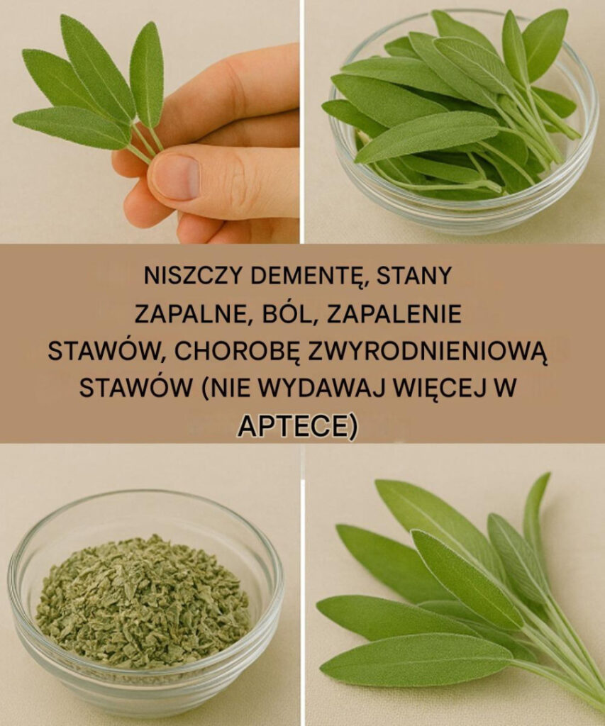 Naturalny_cud_dla_zdrowia_m_zgu__stan_w_zapalnych_i_b_lu_staw_w
