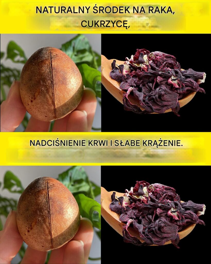 Pestki_awokado__naturalne_lekarstwo_na_choroby_ Pestki_awokado__naturalne_lekarstwo_na_choroby_