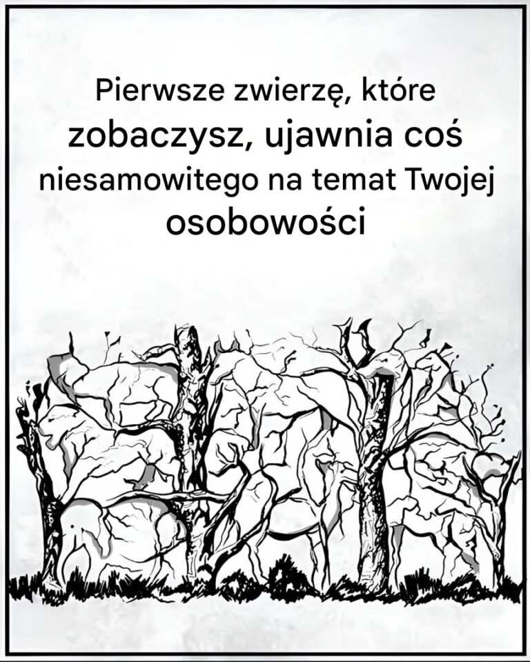 Pierwsze_zwierz___kt_re_zobaczysz__ujawni_pewne_informacje_na_temat_Twojej_osobowo_ci