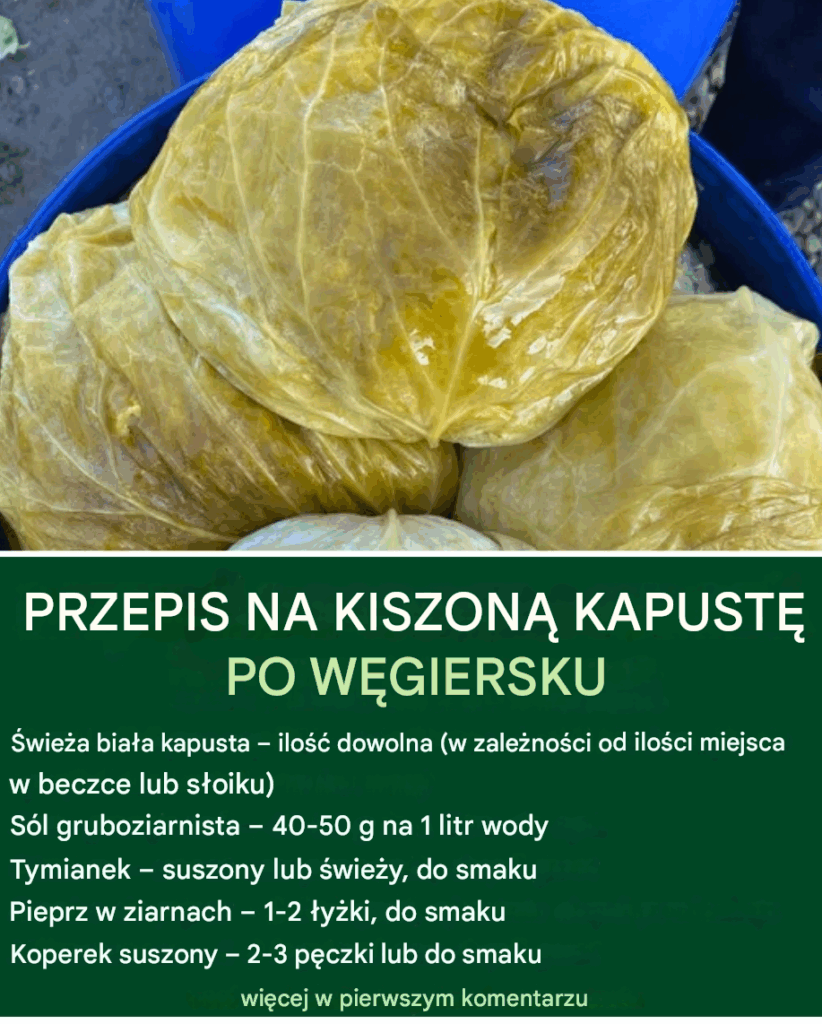 Przepis_na_kiszon__kapust__po_w_giersku-1 Przepis_na_kiszon__kapust__po_w_giersku-1