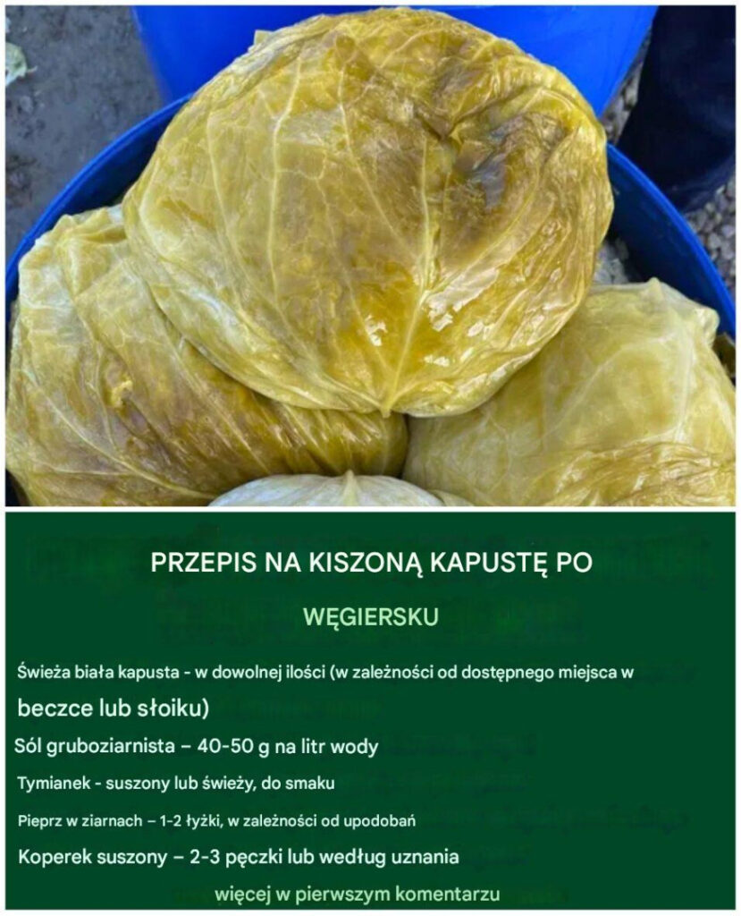 Przepis_na_w_giersk__kiszon__kapust_ Przepis_na_w_giersk__kiszon__kapust_