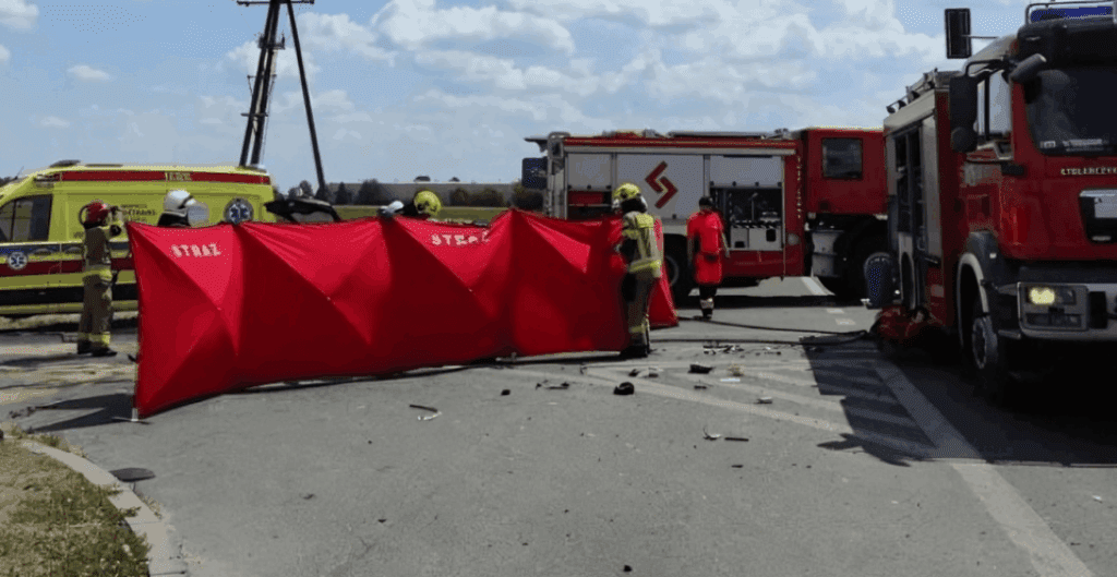 Rodzinna_tragedia_na_polskiej_trasie__nie__yje_matka__dzieci_walcz__o__ycie__W_akcji_wszystkie_s_u_by Rodzinna_tragedia_na_polskiej_trasie__nie__yje_matka__dzieci_walcz__o__ycie__W_akcji_wszystkie_s_u_by