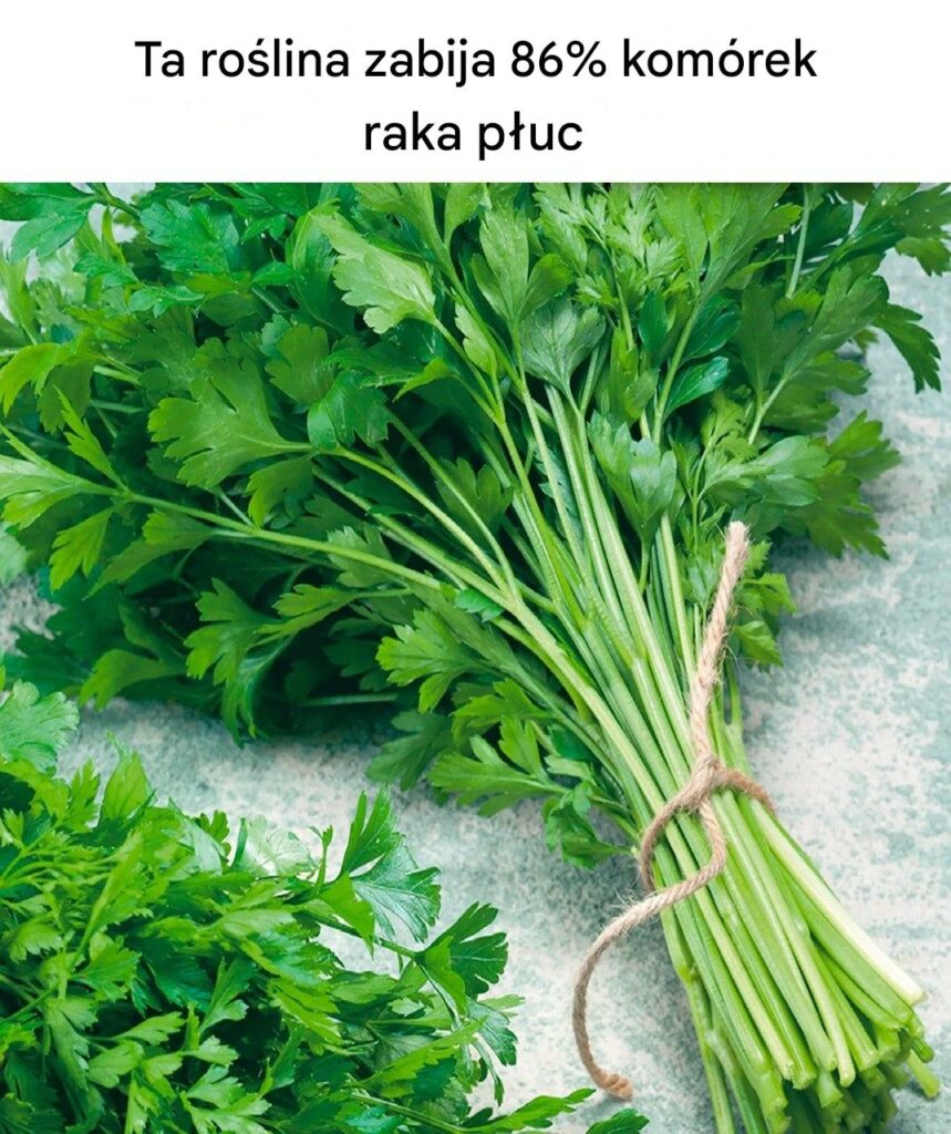 Ta_ro_lina_zabija_86__kom_rek_raka_p_uc-1 Ta_ro_lina_zabija_86__kom_rek_raka_p_uc-1