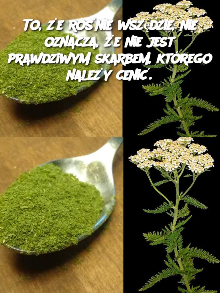 To___e_ro_nie_wsz_dzie__nie_oznacza___e___nie_jest_prawdziwym_skarbem__kt_rego_nale_y_ceni__