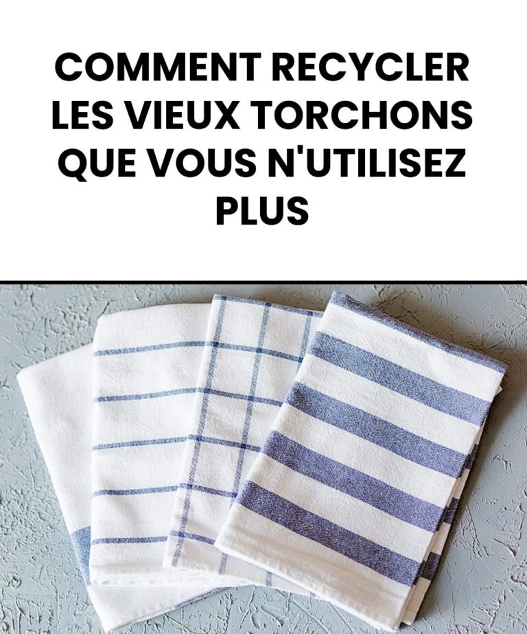 Wskaz_wki_dotycz_ce_recyklingu_starych__ciereczek_kuchennych