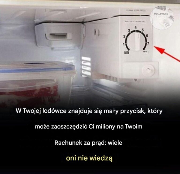 Zawsze_marnowali_my_energi__elektryczn___nawet_o_tym_nie_wiedz_c_