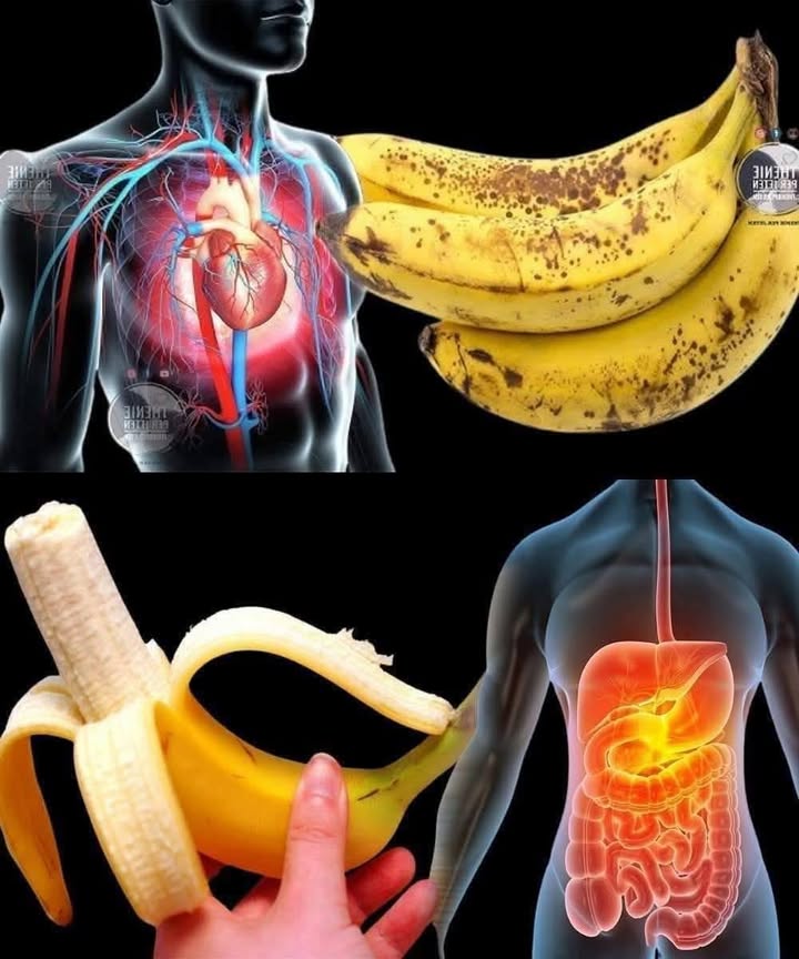 Zielony_____ty_czy_przejrza_y_banan__kt_ry_jest_najlepszy_dla_zdrowia_ Zielony_____ty_czy_przejrza_y_banan__kt_ry_jest_najlepszy_dla_zdrowia_