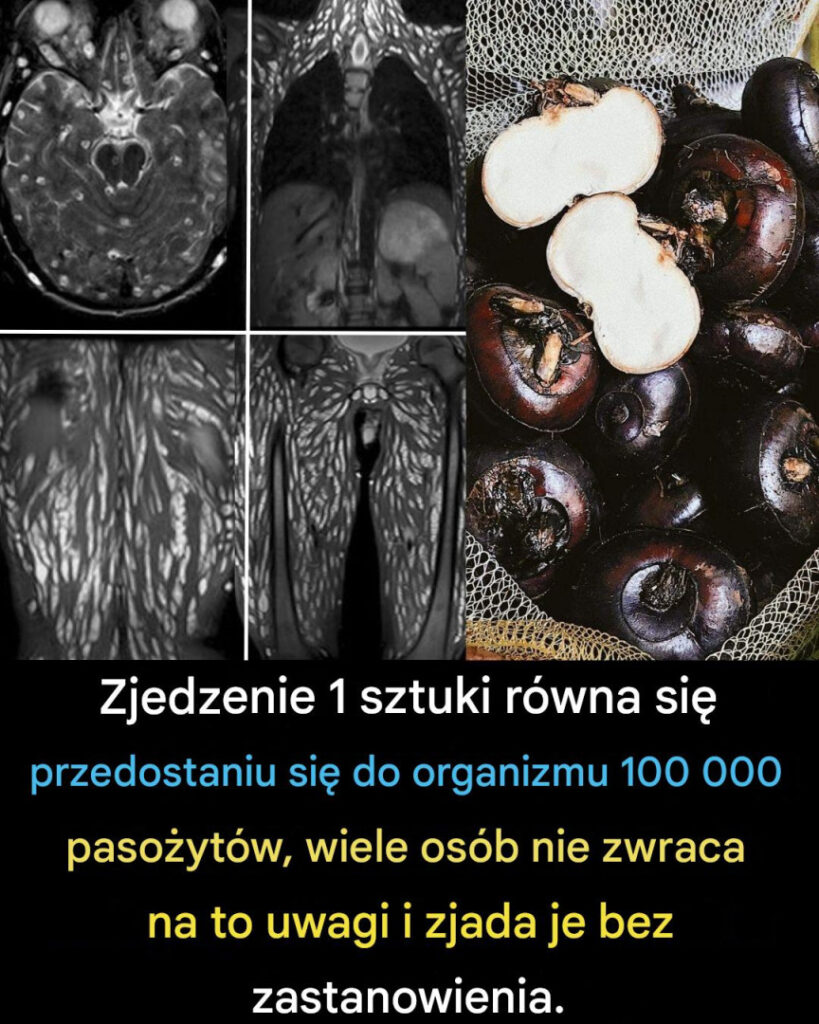 Zjedzenie_jednego_k_sa_jest_ju__szkodliwe__ale_wiele_os_b_nadal_je_bez_obaw Zjedzenie_jednego_k_sa_jest_ju__szkodliwe__ale_wiele_os_b_nadal_je_bez_obaw