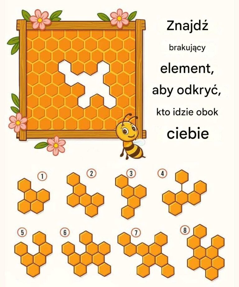 Znajd__brakuj_cy_kawa_ek_plastra_miodu__aby_odkry___kto_idzie_obok_ciebie