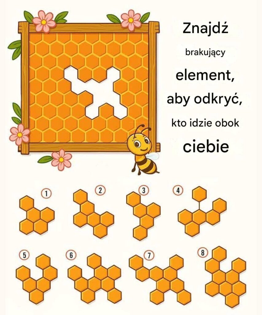 Znajd__brakuj_cy_kawa_ek_plastra_miodu__aby_odkry___kto_idzie_obok_ciebie Znajd__brakuj_cy_kawa_ek_plastra_miodu__aby_odkry___kto_idzie_obok_ciebie