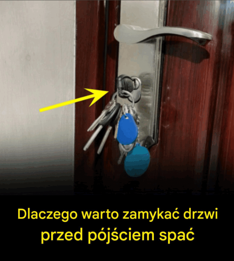 Zupa_z_pierogami__zielonymi_warzywami_li_ciastymi_i_szczypiorkiem