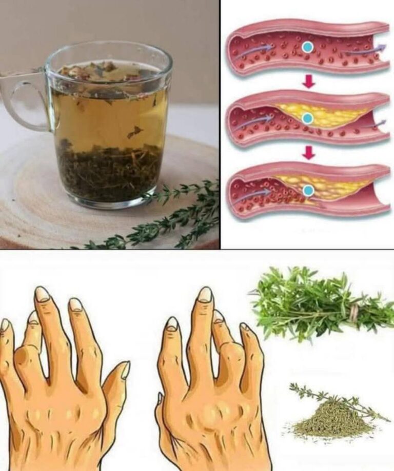 8_korzy_ci_i_zastosowa__tymianku___