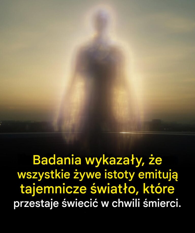 Badania_wykaza_y___e_wszystkie__ywe_istoty_emituj__tajemnicze__wiat_o__kt_re_przestaje__wieci__w_chwili__mierci_