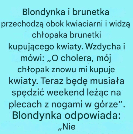 Ch_opak_znowu_kupuje_kwiaty__a_brunetka_nie_jest_zachwycona___ale_powr_t_blondynki_to_czyste_z_oto_ Ch_opak_znowu_kupuje_kwiaty__a_brunetka_nie_jest_zachwycona___ale_powr_t_blondynki_to_czyste_z_oto_