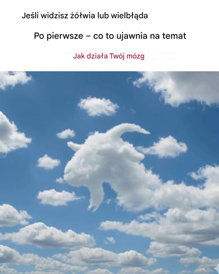 Co_si__stanie__je_li_najpierw_pojawi_si_____wia_lub_wielb__da____Co_to_m_wi_o_g__bi_m_zgu