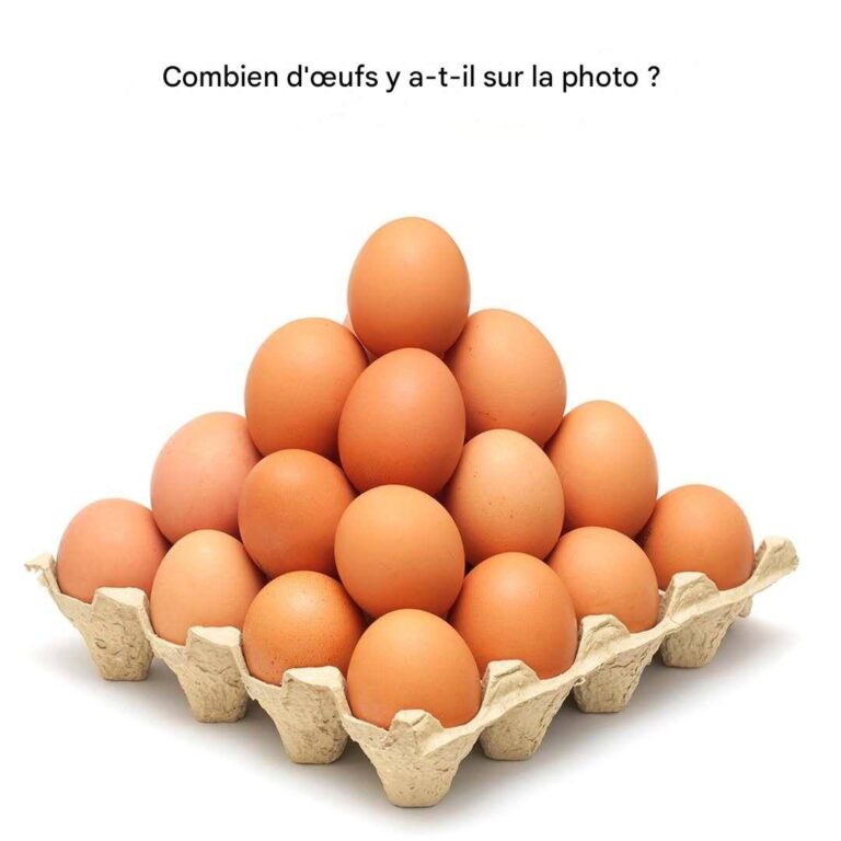 Combien_d__ufs_voyez_vous_sur_la_photo___La_plupart_des_gens_se_trompent_