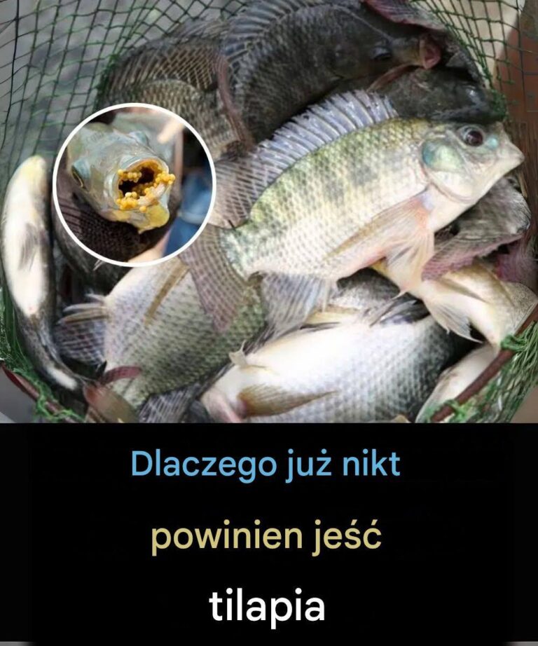 Czy_dzieci_i_osoby_starsze_powinny_regularnie_je___tilapi__