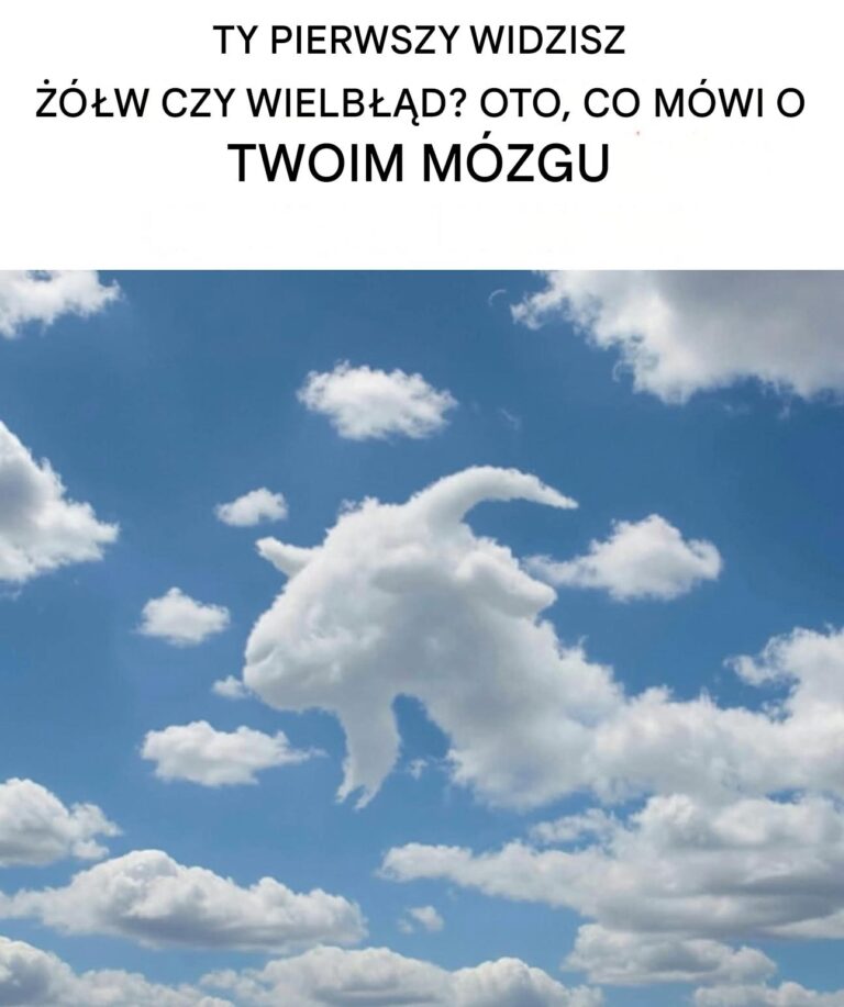 Czy_najpierw_widzisz____wia__czy_wielb__da__Oto__co_to_m_wi_o_twoim_m_zgu