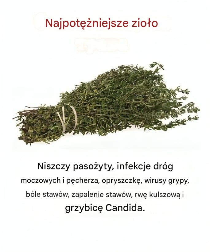 Czy_wiesz___e_to_najpot__niejsze_zio_o_ Czy_wiesz___e_to_najpot__niejsze_zio_o_